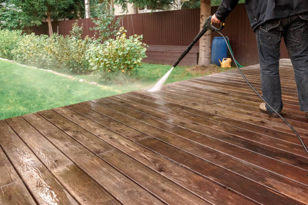 Best Animal Enclosure Cleaning  in Buena Vista, CO