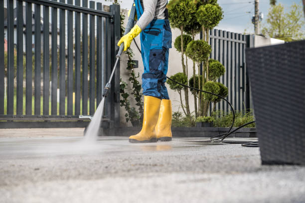 Best Factory Floor Cleaning  in Buena Vista, CO